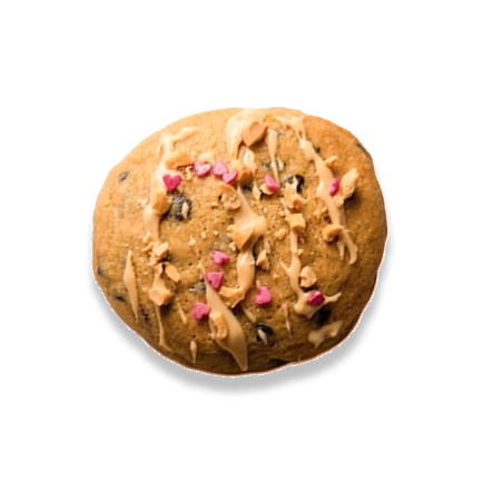 Double Chocolate Cookie